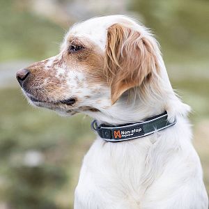 Obojky Roam vynikají svou lehkostí a kvalitním zpracováním