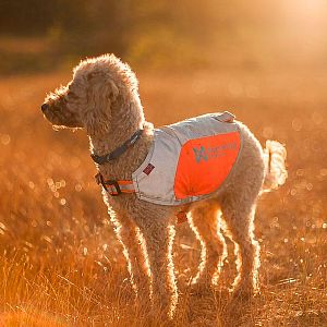 Reflexní prvky na obojku Tumble zvyšují bezpečí pejska