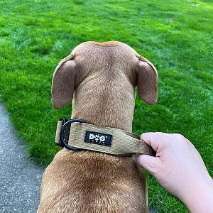 Rukojeť pro kontrolu pejska i snadnou manipulaci při výcviku