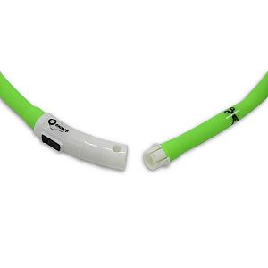 Zelený svítící obojek pro psy